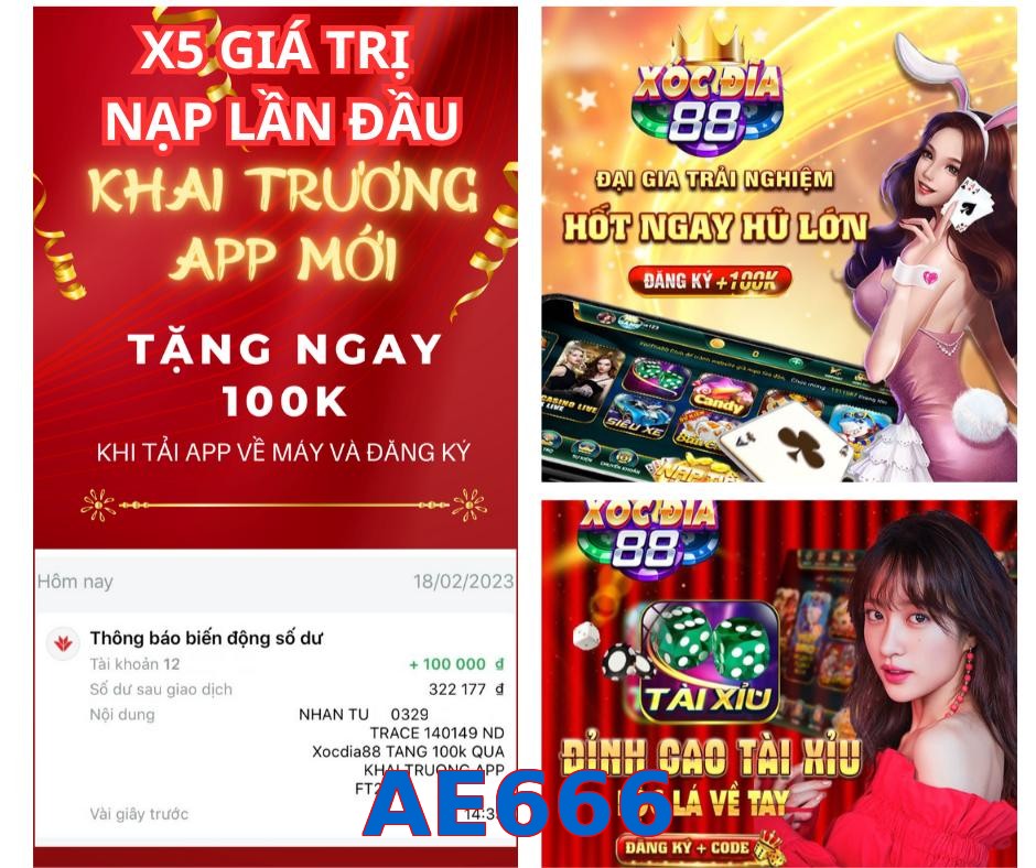 AE666